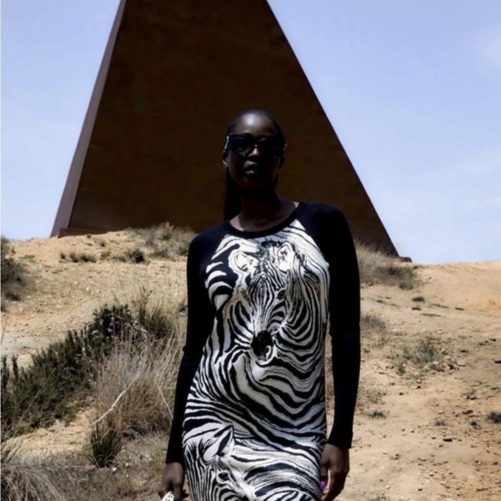 Authentic Roberto Cavalli Black & White Zebra Motif Long Sleeve Knit Dress - Picture 2 of 14